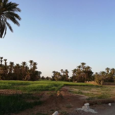 Kasbah Les Alizes Du Desert M'Hamid Exterior foto