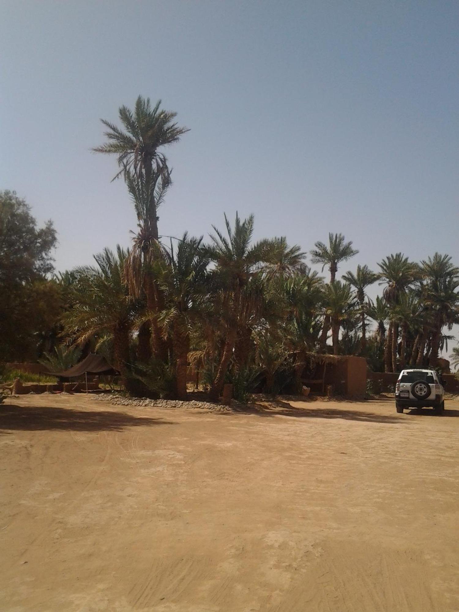 Kasbah Les Alizes Du Desert M'Hamid Exterior foto