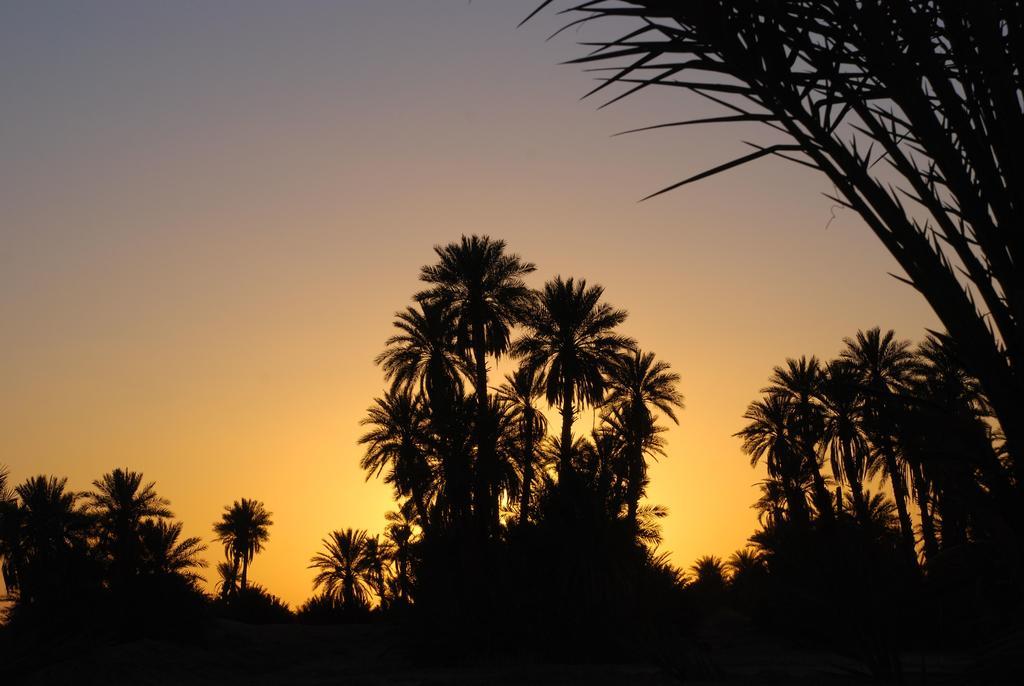 Kasbah Les Alizes Du Desert M'Hamid Exterior foto