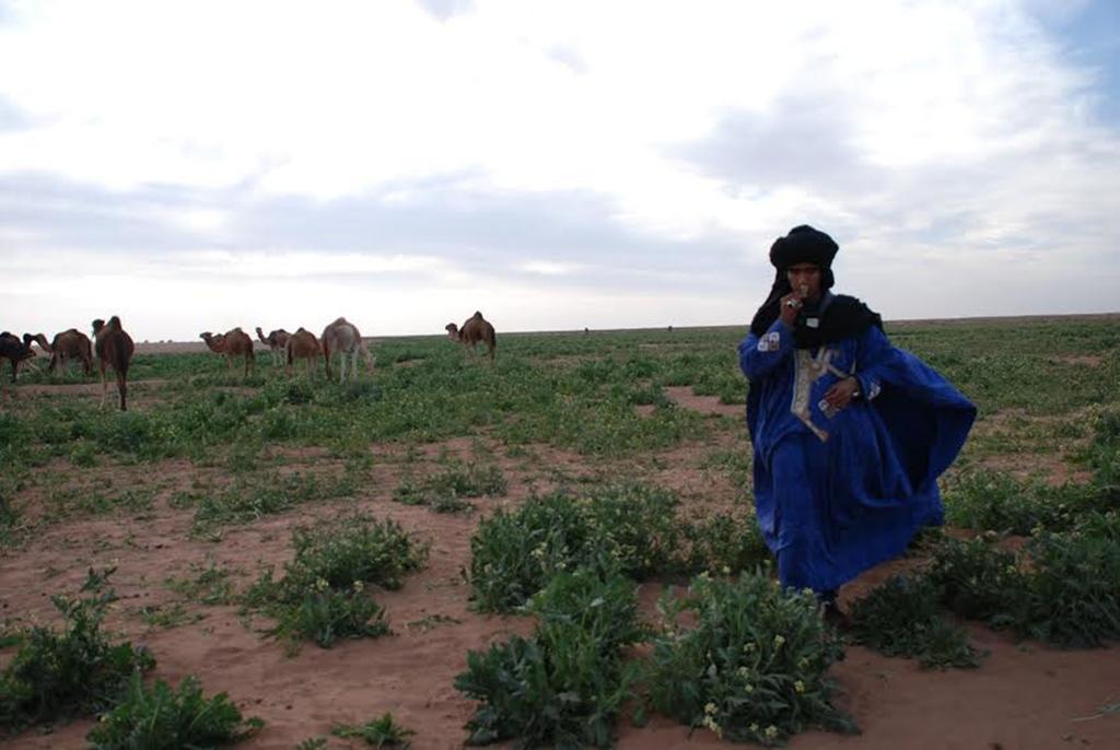 Kasbah Les Alizes Du Desert M'Hamid Exterior foto
