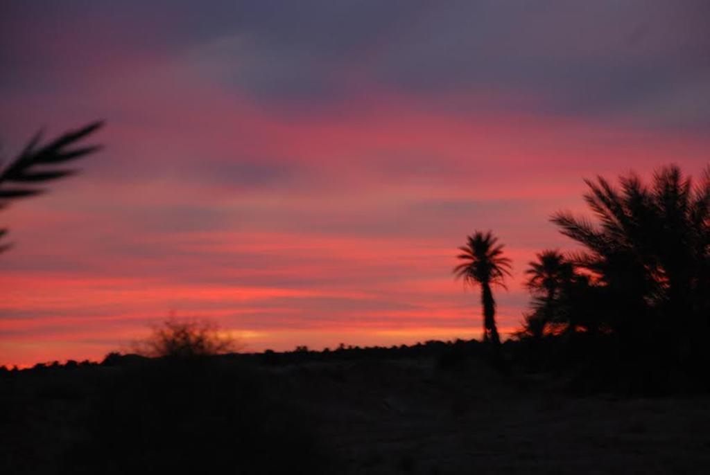 Kasbah Les Alizes Du Desert M'Hamid Exterior foto