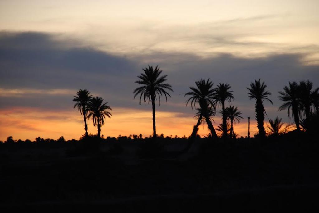 Kasbah Les Alizes Du Desert M'Hamid Exterior foto
