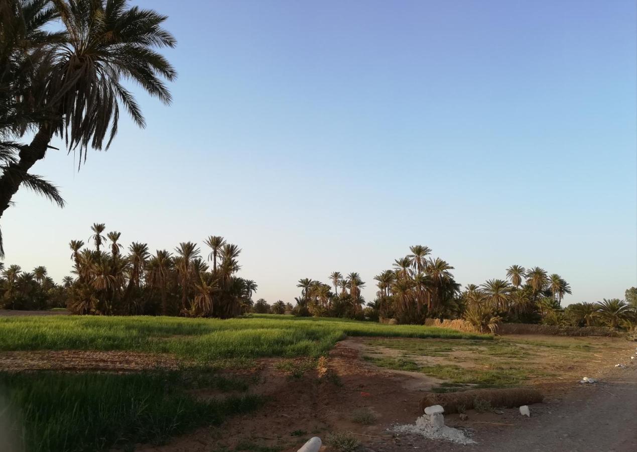 Kasbah Les Alizes Du Desert M'Hamid Exterior foto