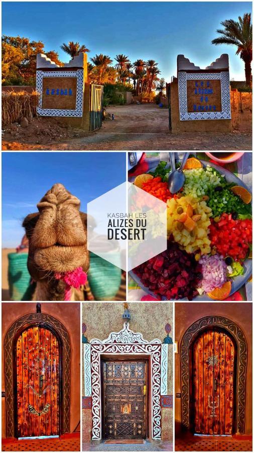 Kasbah Les Alizes Du Desert M'Hamid Exterior foto