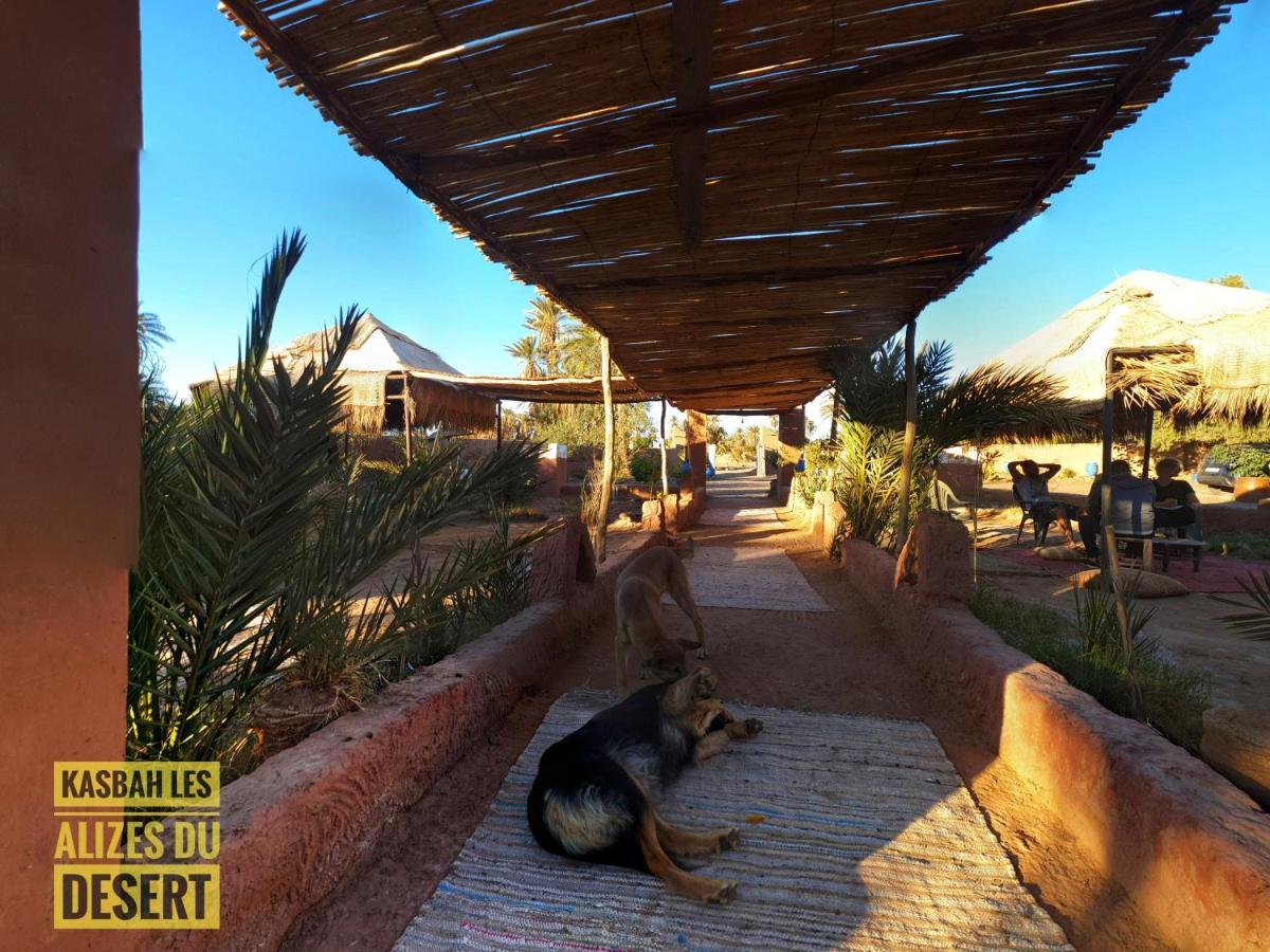 Kasbah Les Alizes Du Desert M'Hamid Exterior foto